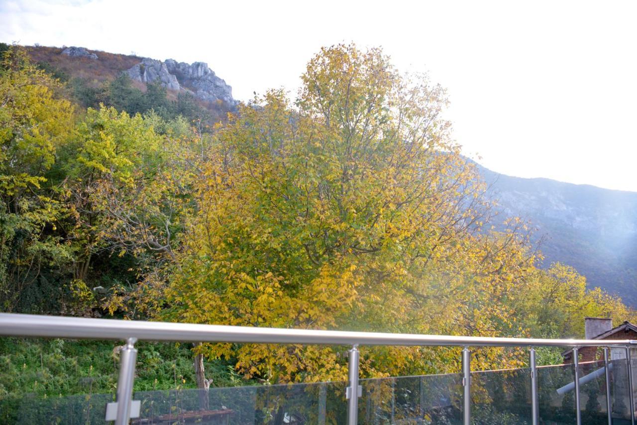 Раде 3-Враца Vratsa Bagian luar foto